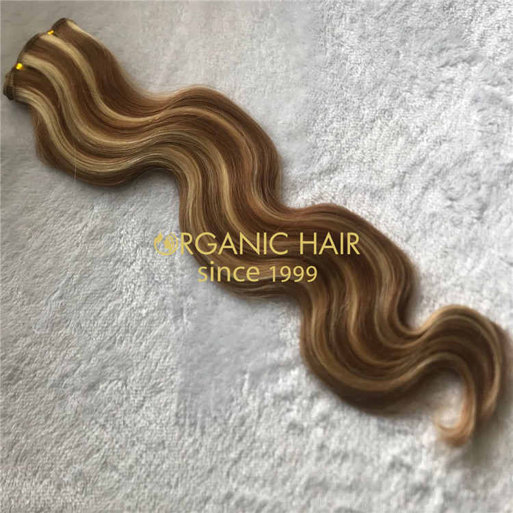 Best body wave russian human cuticle hair hand tied wefts supplier A209